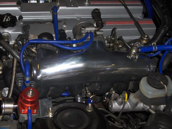 rsz_supra_023.jpg