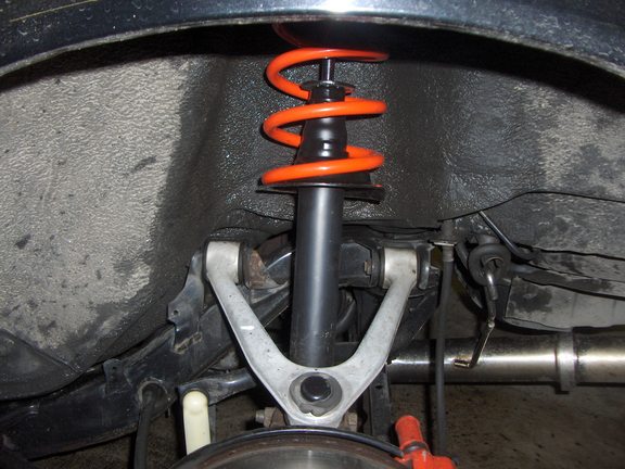 rsz_supra_003.jpg