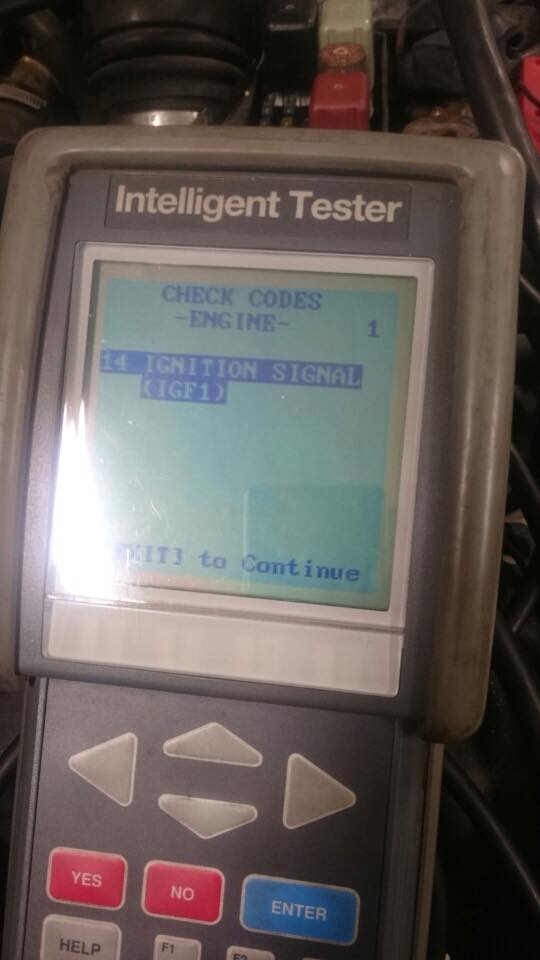 11022789_10153643859053747_1769069143_n.jpg