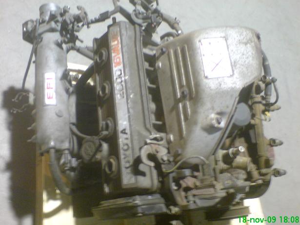 DSC00003.JPG
